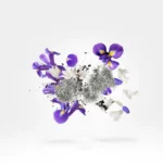 Apollonia Eau de Parfum 50ml