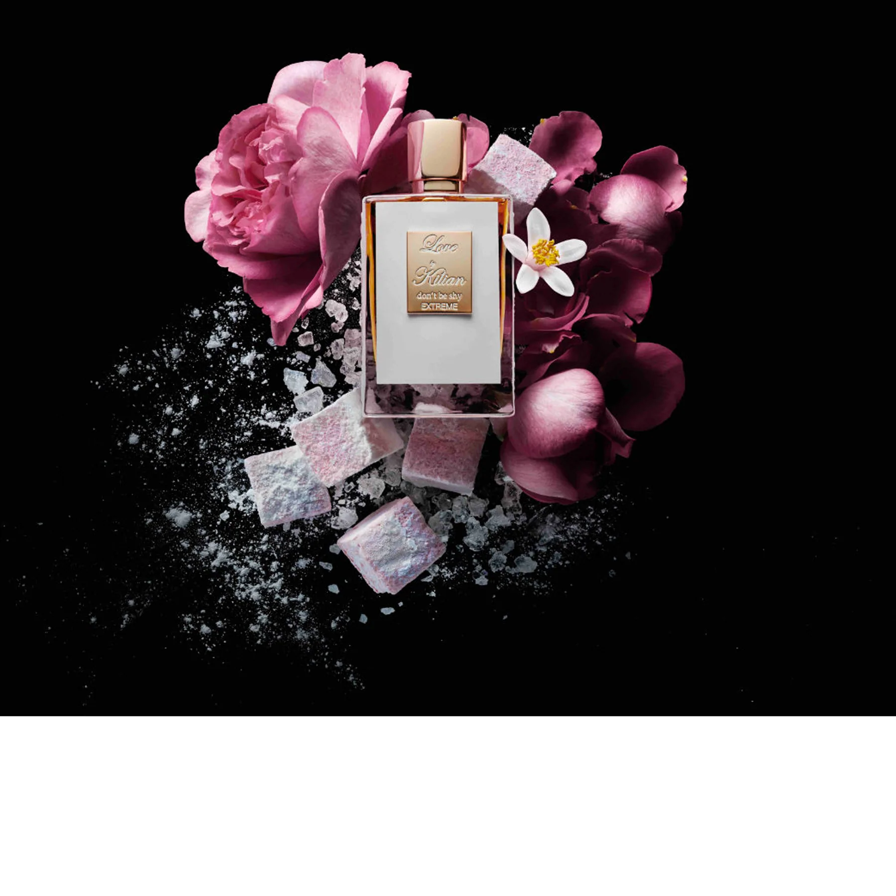 Love Don't Be Shy Extreme Eau de Parfum