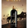 Arabians Tonka Eau de Parfum 100ml