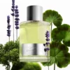 Beau De Jour Eau de Parfum
