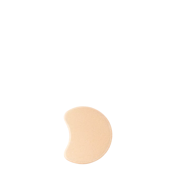 Foundation Sponge