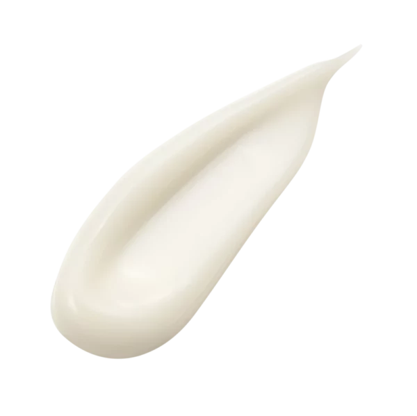 The Cream 40ml