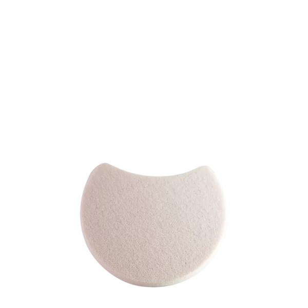 Foundation Sponge