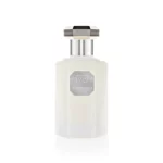 Teint De Neige Hair Mist Spray 50ml