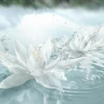 Luxury Fragrance Collection Radiant Mirage Eau de Parfum