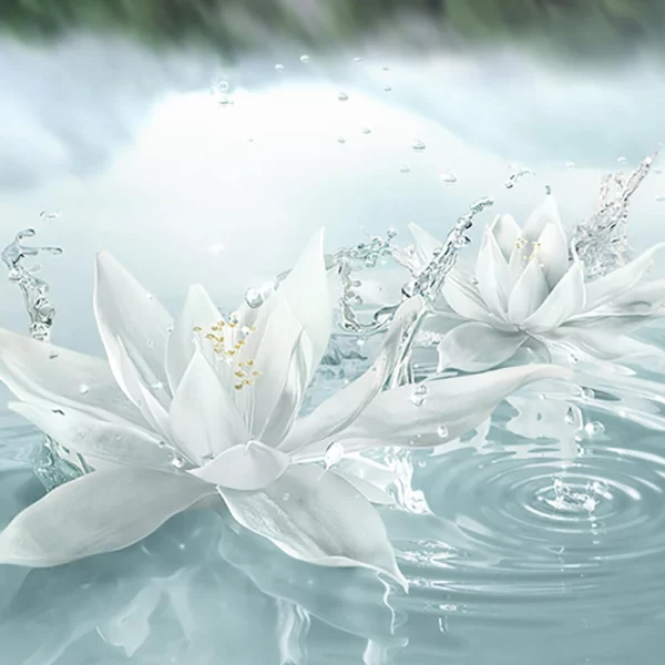 Luxury Fragrance Collection Radiant Mirage Eau de Parfum