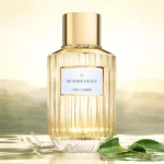 Luxury Fragrance Collection Tender Light Eau de Parfum 100ml