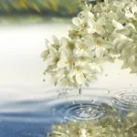 Luxury Fragrance Collection Paradise Moon Eau de Parfum 100ml