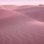 Luxury Fragrance Collection Desert Eden Eau de Parfum 100ml