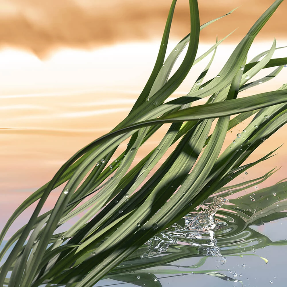 887167571266-3 Luxury Fragrance Collection Blushing Sands Eau de Parfum 100ml