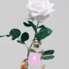 Rose Water & Vanilla Cologne 50ml