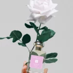 Rose Water & Vanilla Cologne 50ml