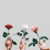Rose Water & Vanilla Cologne 50ml