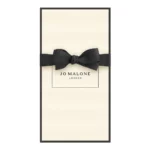 Star Magnolia Cologne