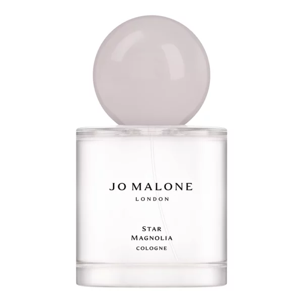 Star Magnolia Cologne