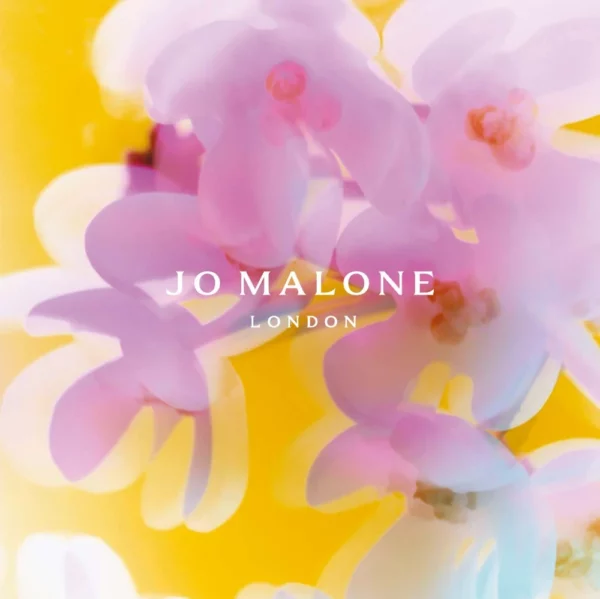 Nashi Blossom Cologne
