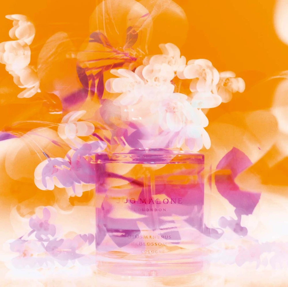 Osmanthus Blossom Cologne