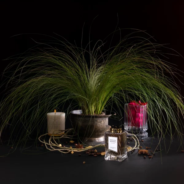 Narcotic Bohemic Eau de Parfum 70ml
