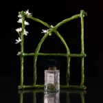 Abed Eau de Parfum 70ml