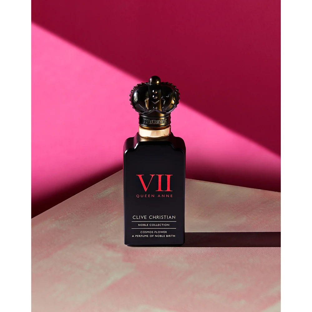 Art Deco VII Cosmos Flower